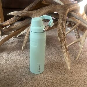 Stanley Mint Green Water Bottle